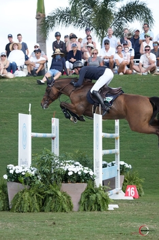 Ben Maher & Faltic - 2nd in Wellington $140,000 Grand Prix